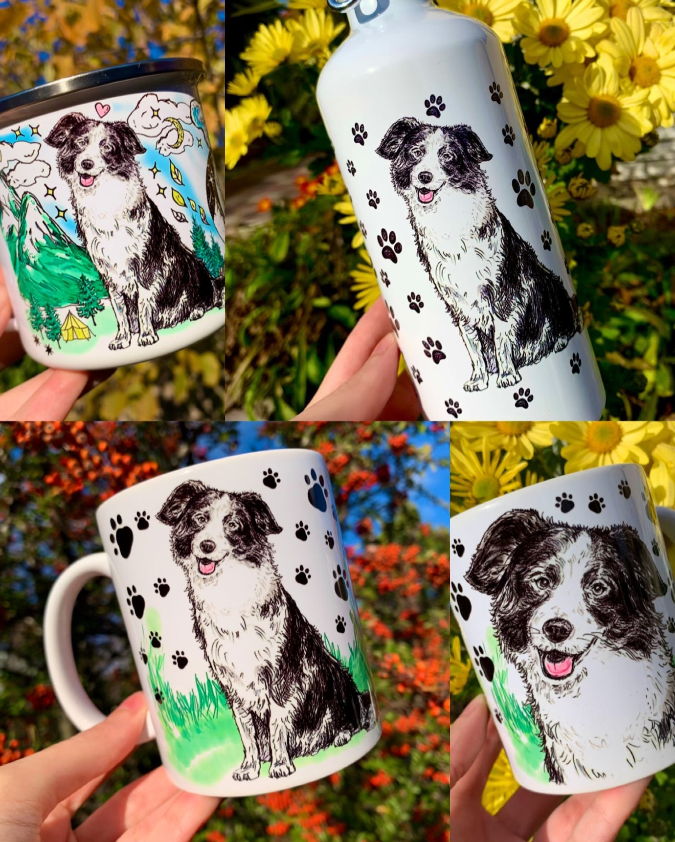 Border Collie kulacs - Mancs mintával