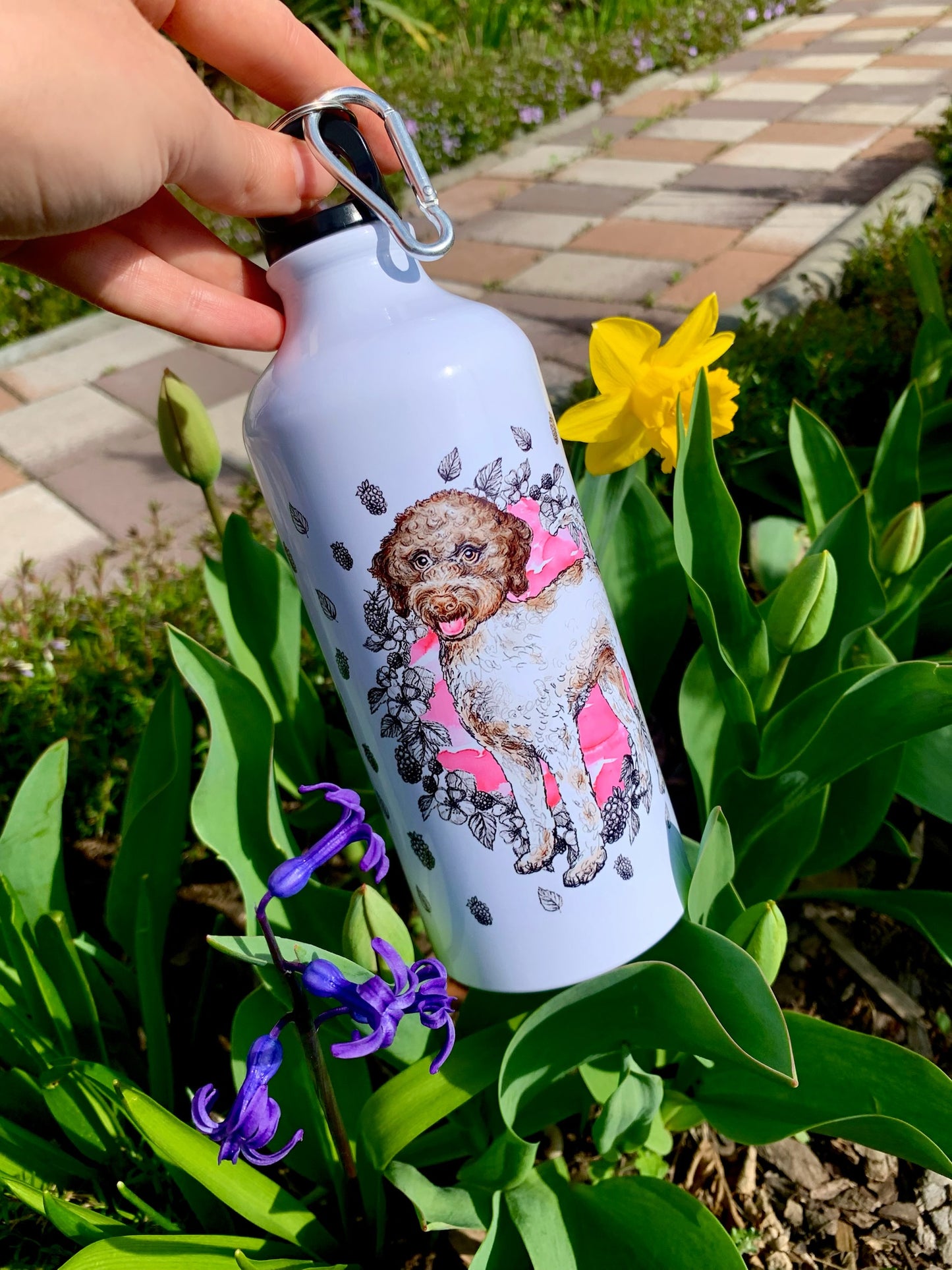 Lagotto Romagnolo Kulacs - FÉM - Álló Lagotto kutya mintával