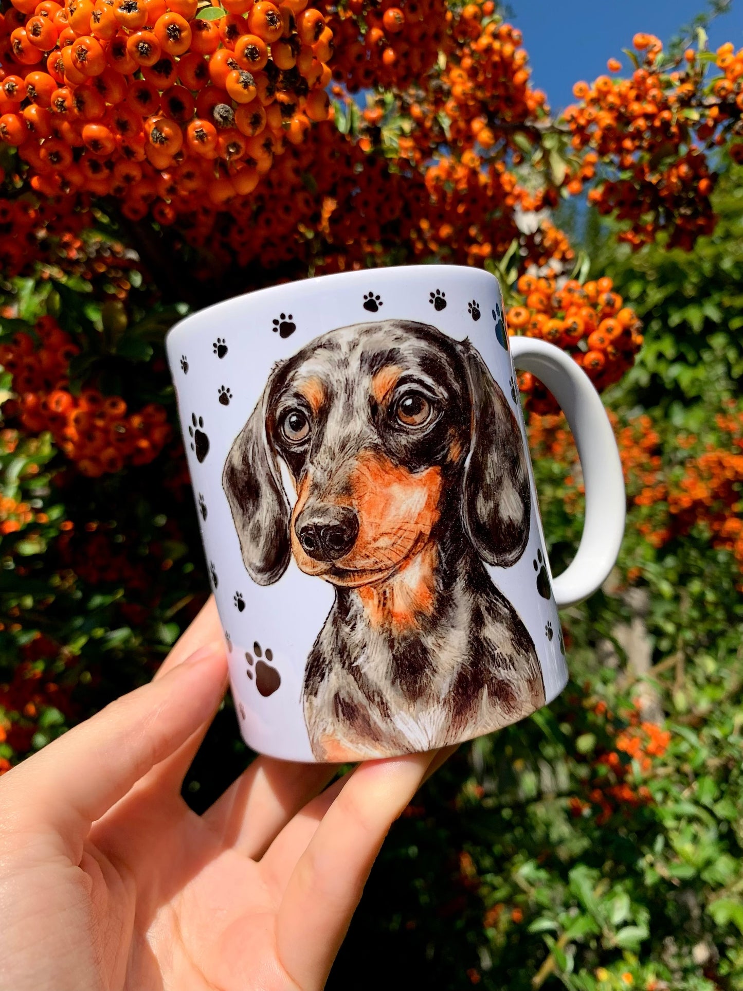 Finoman megfestett merle tacskó illusztráció, akvarell technikával, részletgazdag kidolgozásban – tökéletes tacskós ajándék.