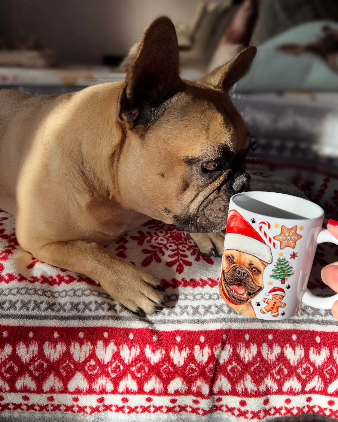 PRÉMIUM KÉZZEL RAJZOLT KISÁLLATPORTRÉ – Teljesen egyedi háttér mintákkal – "Prémium csomag" 45.990 FT-tól