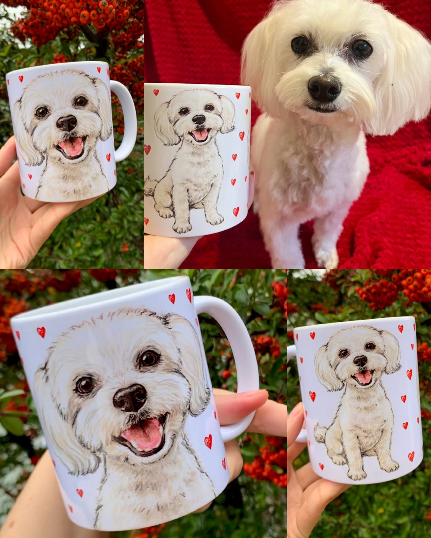 PRÉMIUM KÉZZEL RAJZOLT KISÁLLATPORTRÉ – Teljesen egyedi háttér mintákkal – "Prémium csomag" 45.990 FT-tól