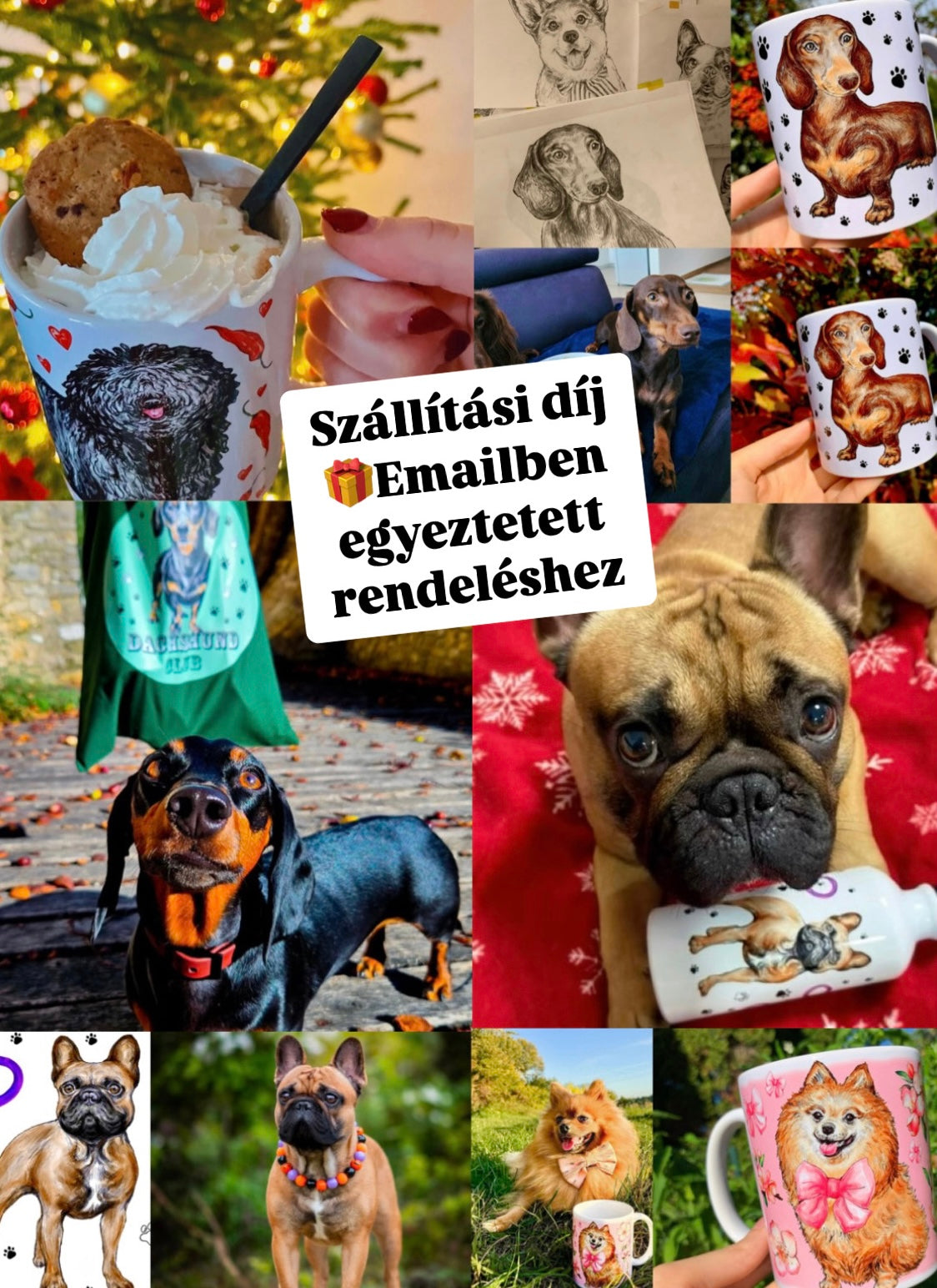 Szállítási költség díja - Emailben egyeztetett rendeléshez