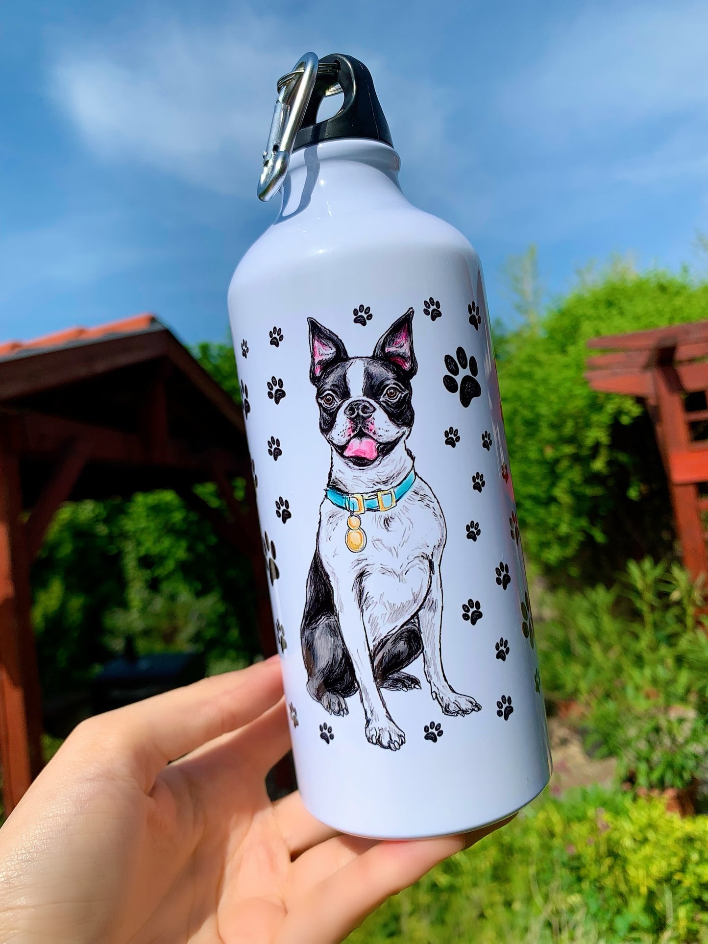 Boston terrier Kulacs – Kézzel festett ülő Boston kutya színes nyakörves mintával