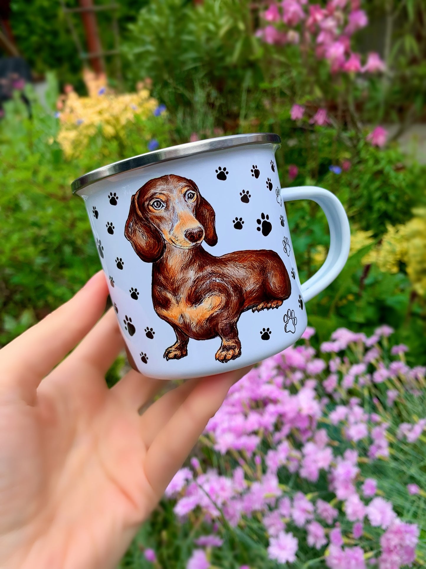 gyönyörű tacskós kutyaportré, részletgazdag csokibarna tacskóval bögrén