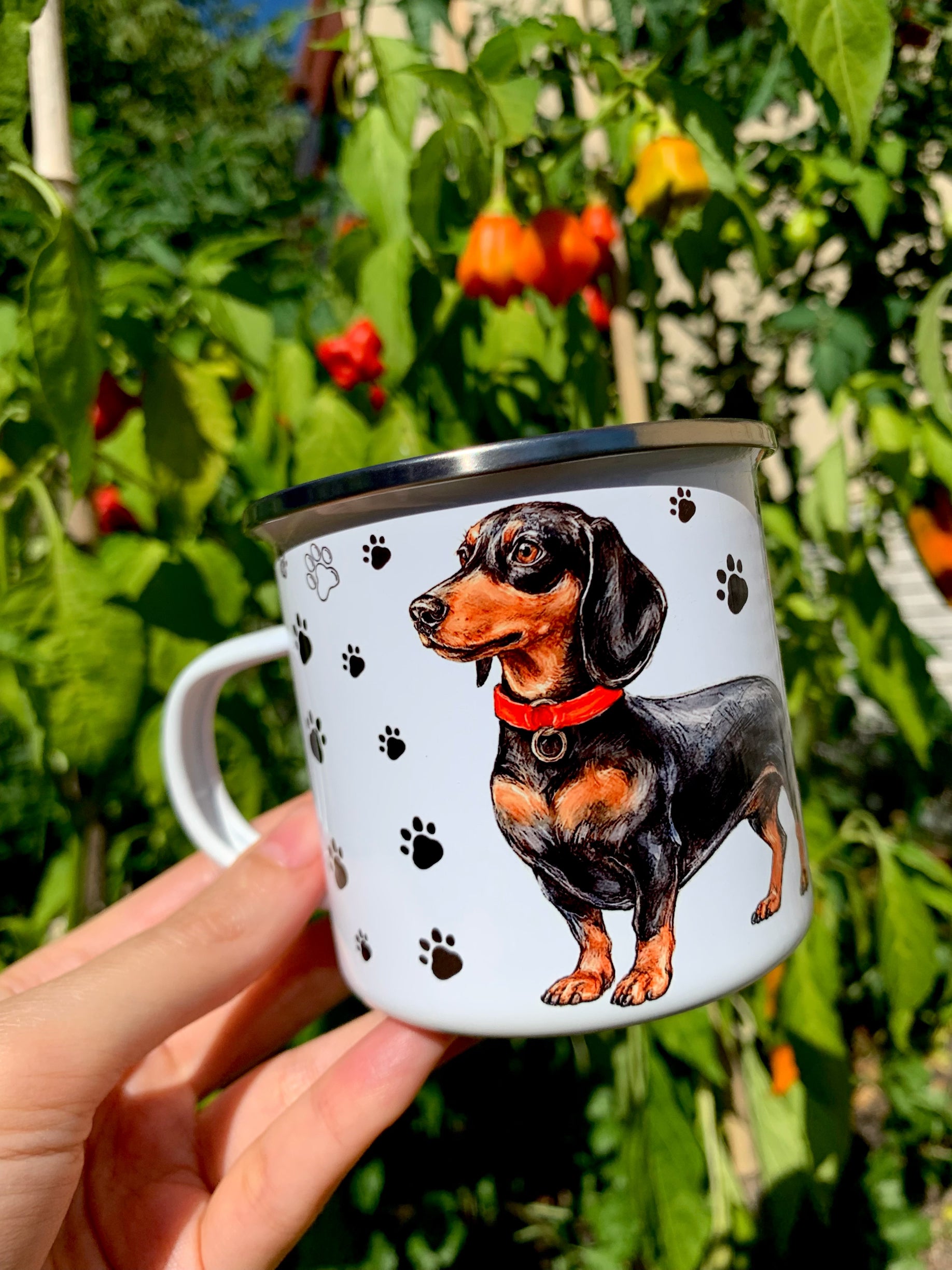 Tacskós ajándékbögre, kétféle kézzel festett cser tacskó illusztrációval, piros nyakörvvel és fekete mancs mintákkal, prémium kivitelben.